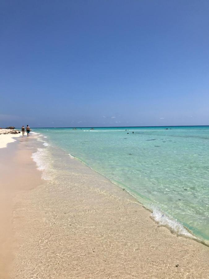 Villa Del Mar プレヤデルカーメン エクステリア 写真