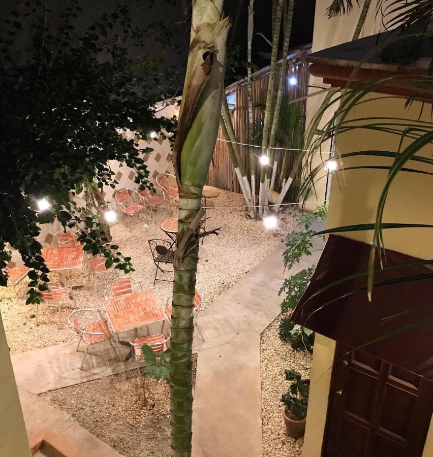 Villa Del Mar プレヤデルカーメン エクステリア 写真